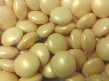 Mini Confetti Goud Satijn Parelmoer / Lentilles
