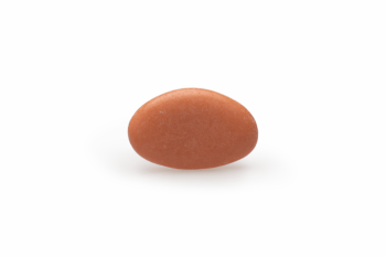 Suikerboon Dragee Terra - 1 kg
