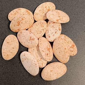 Suikerboon Marbré Terra - 1 kg [EXCLUSIEF]