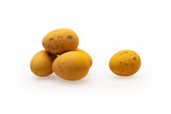 Kievitseitjes Abrikoos - 2 kg [Seizoensproduct]