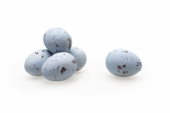 Kievitseitjes Blauw - 2 kg [Seizoensproduct]