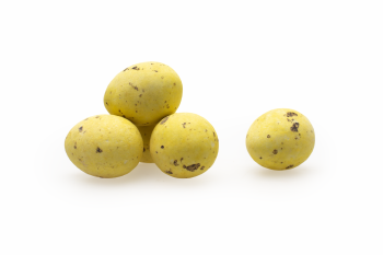 Kievitseitjes Geel - 2 kg [Seizoensproduct]