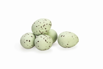 Kievitseitjes Groen - 2 kg [Seizoensproduct]
