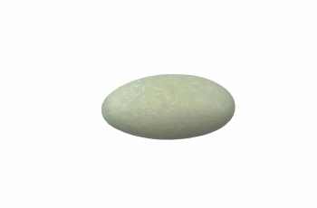Suikerboon Watergroen - 1 kg