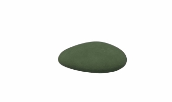 Suikerboon Sage Groen - 1 kg