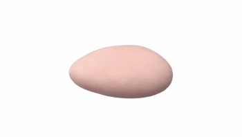 Suikerboon Oudroos - 1 kg